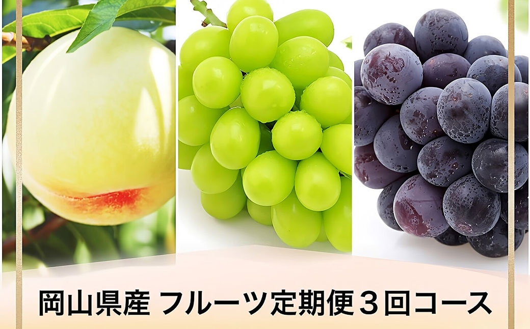 岡山県産 フルーツ定期便＜お一人様向け＞