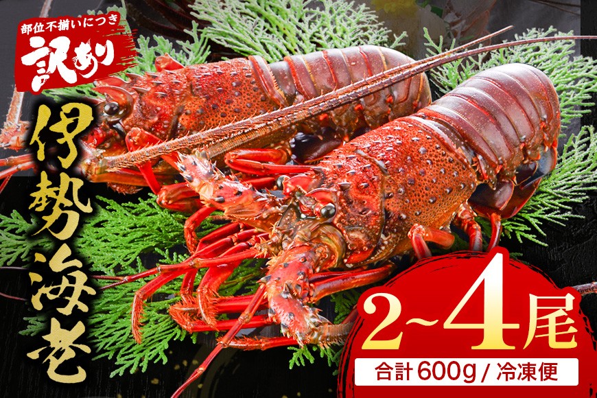 2～4尾となります(選択はできません)