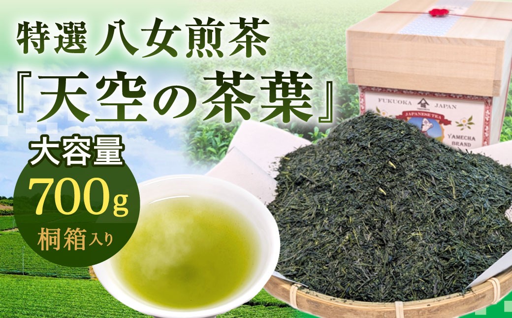 特選八女煎茶「天空の茶葉」桐箱入り たっぷり大容量700g（約2ヵ月分）