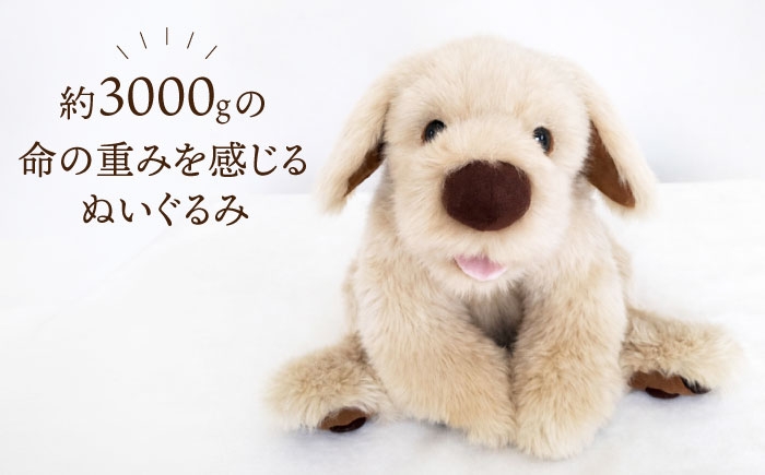 「いのちの重さ」「母性のよみがえり」を感じる重たいぬいぐるみ