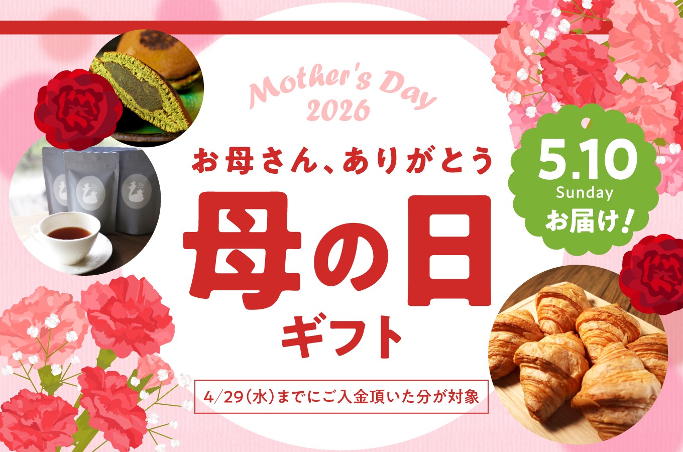 【母の日ギフト】全粒粉スコーンプレーン12個入り ≪5月10日お届け≫