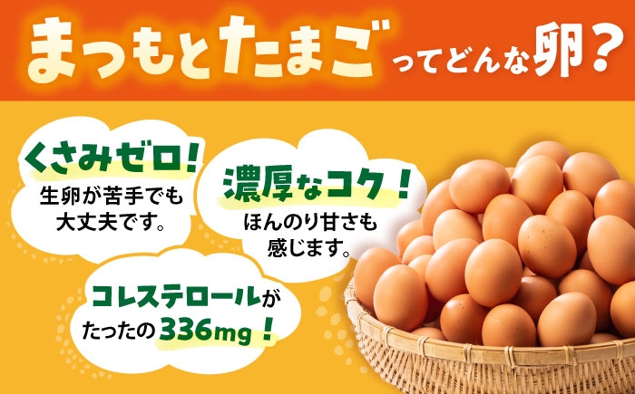 卵 赤玉 Lサイズ たまご