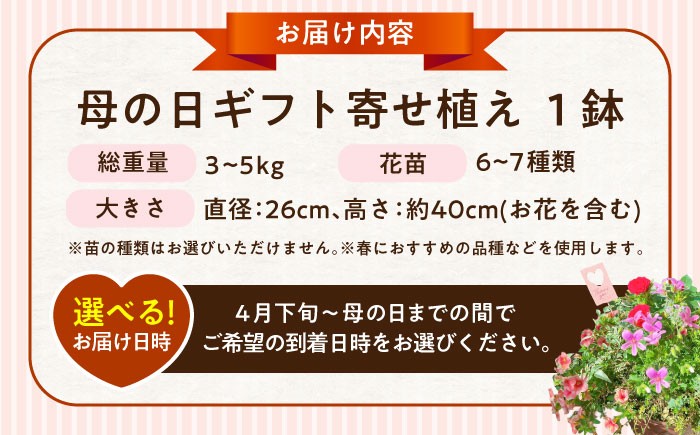 母 花 華 よせうえ 鉢  ペチュニア系 カリブラコア・ブラキカム・ヘデラ リーフ系・ニチニチソウ  熊本 菊陽町