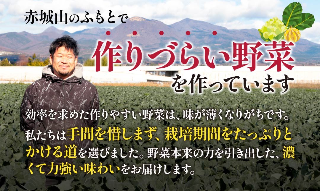 野菜ソムリエが送る 旬野菜セット 8～10品 西洋野菜 一般野菜