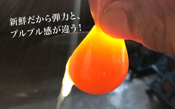 卵 たまご 平飼い
