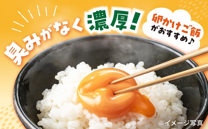 卵 赤玉 Lサイズ たまご