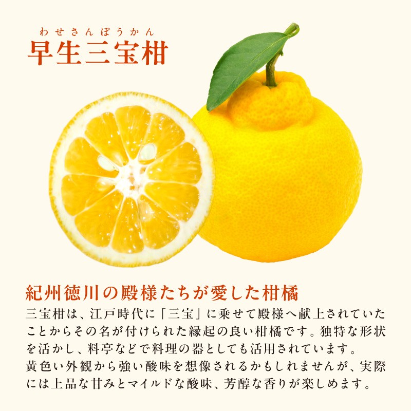 【2027年発送 先行予約品】