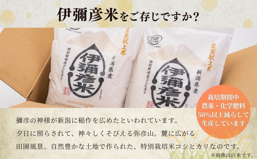 「伊彌彦米 零(ぜろ)」玄米10kg(5kg×2袋) 農薬・化学肥料不使用