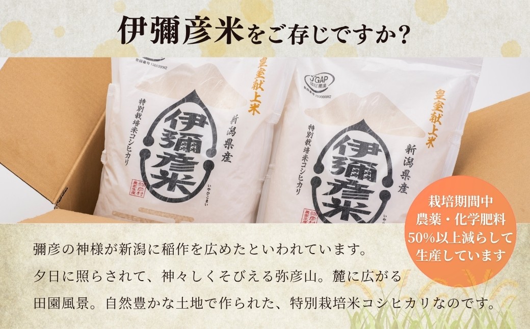 「伊彌彦米 零(ぜろ)」栽培期間中農薬・化学肥料不使用 白米5kg
