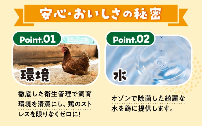 卵 赤玉 Lサイズ たまご