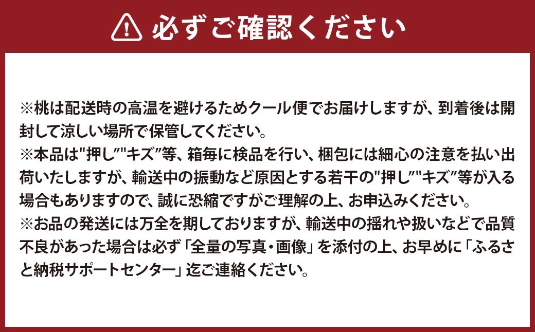 岡山県産 フルーツ定期便＜お一人様向け＞