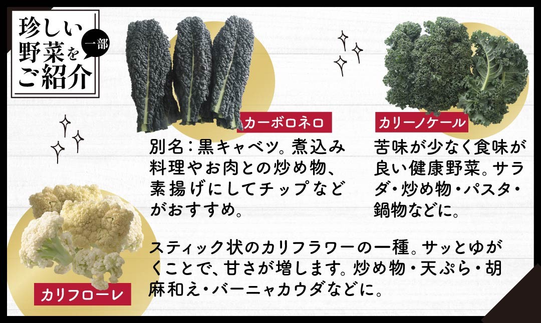 野菜ソムリエが送る 旬野菜セット 8～10品 西洋野菜 一般野菜
