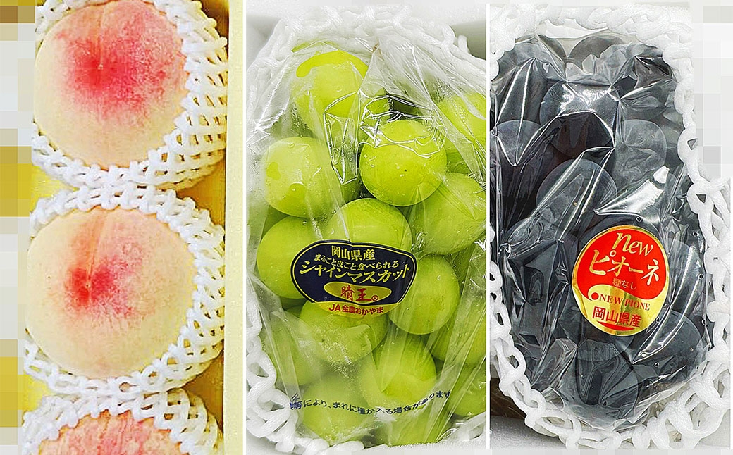 岡山県産 フルーツ定期便＜お一人様向け＞