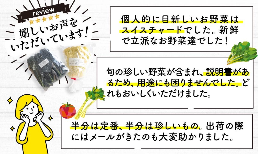 野菜ソムリエが送る 旬野菜セット 8～10品 西洋野菜 一般野菜