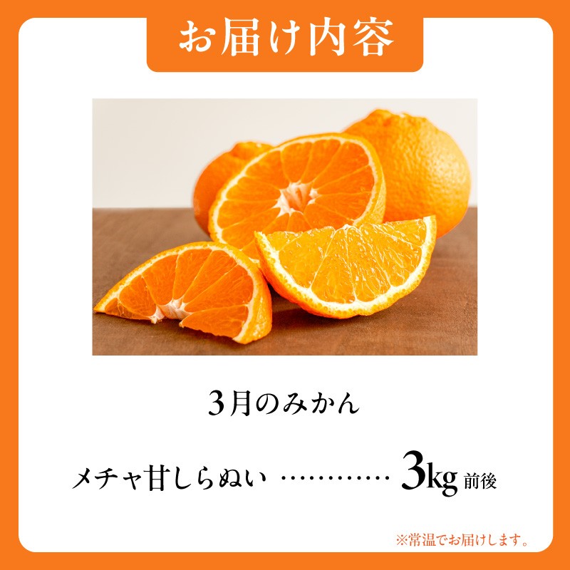 【2027年発送 先行予約品】