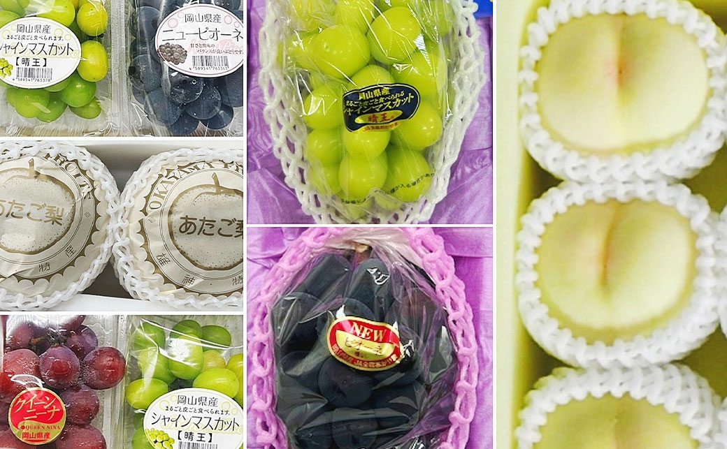 岡山県産フルーツ定期便＜お一人様向け＞