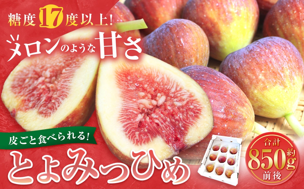 皮ごと食べれる！とよみつひめ