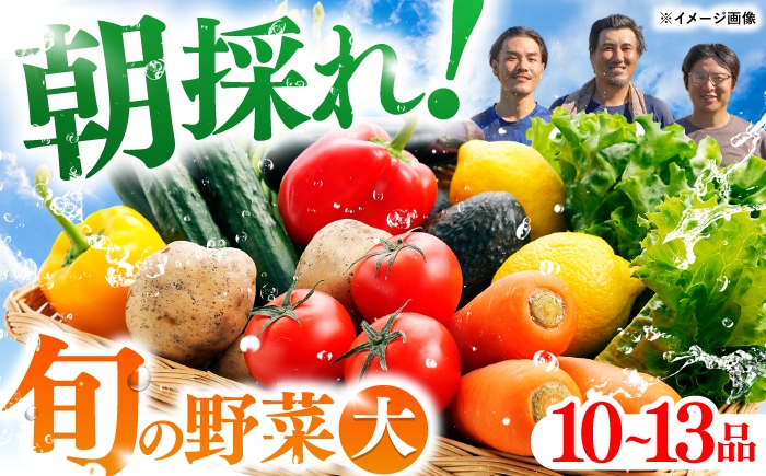 土佐の太陽をいっぱいに浴びた旬の野菜セット「大」【土佐野菜】 [ATBA002]