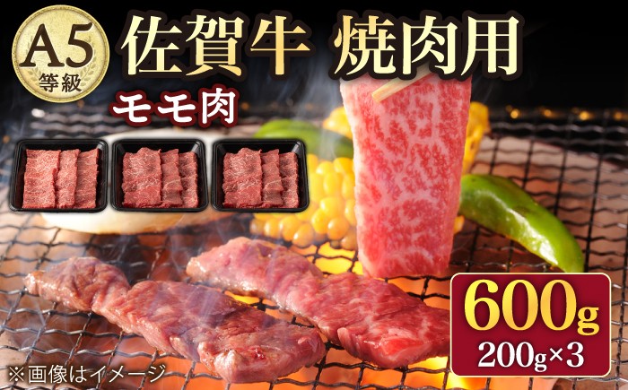 モモ 肉 焼き肉 焼肉 和牛 国産 佐賀牛