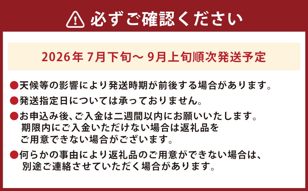 皮ごと食べれる！とよみつひめ