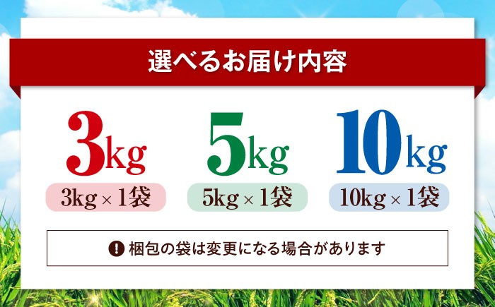お米 ヒノヒカリ 5kg（5kg×1袋）米・食味鑑定士×お米ソムリエ×白米ソムリエ