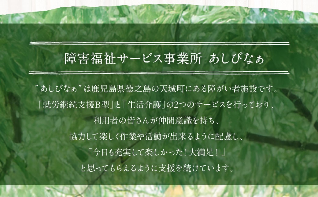 天城町産 月桃茶 計9パック （ 3パック × 3袋 ）