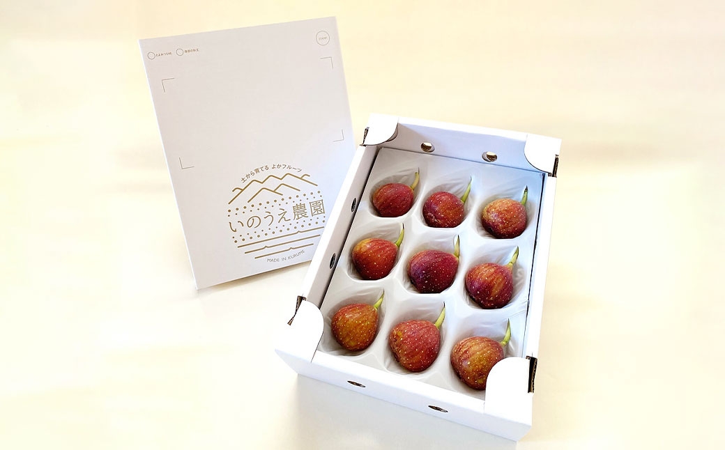 皮ごと食べれる！とよみつひめ