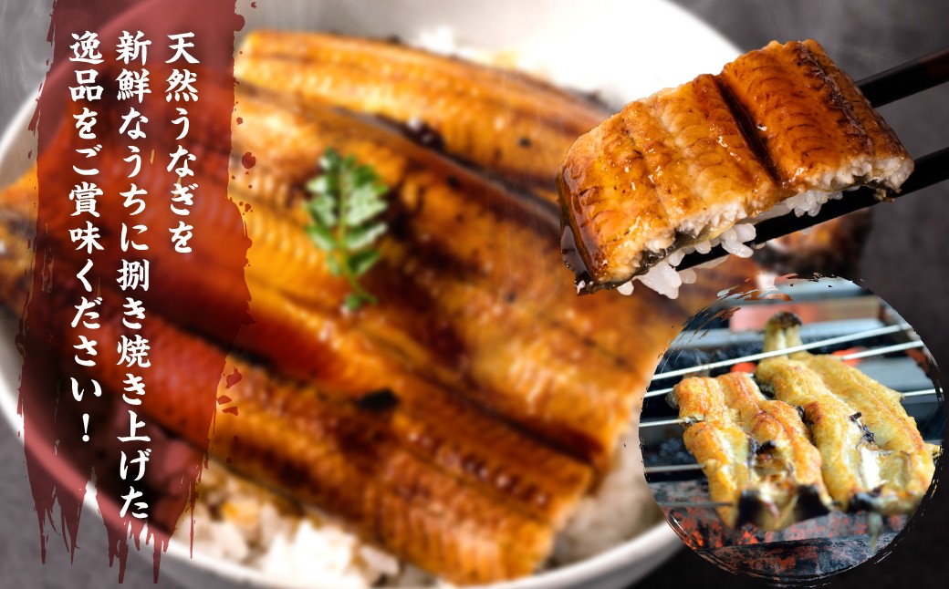 天然うなぎを新鮮なうちに捌き焼き上げた逸品をご賞味ください！