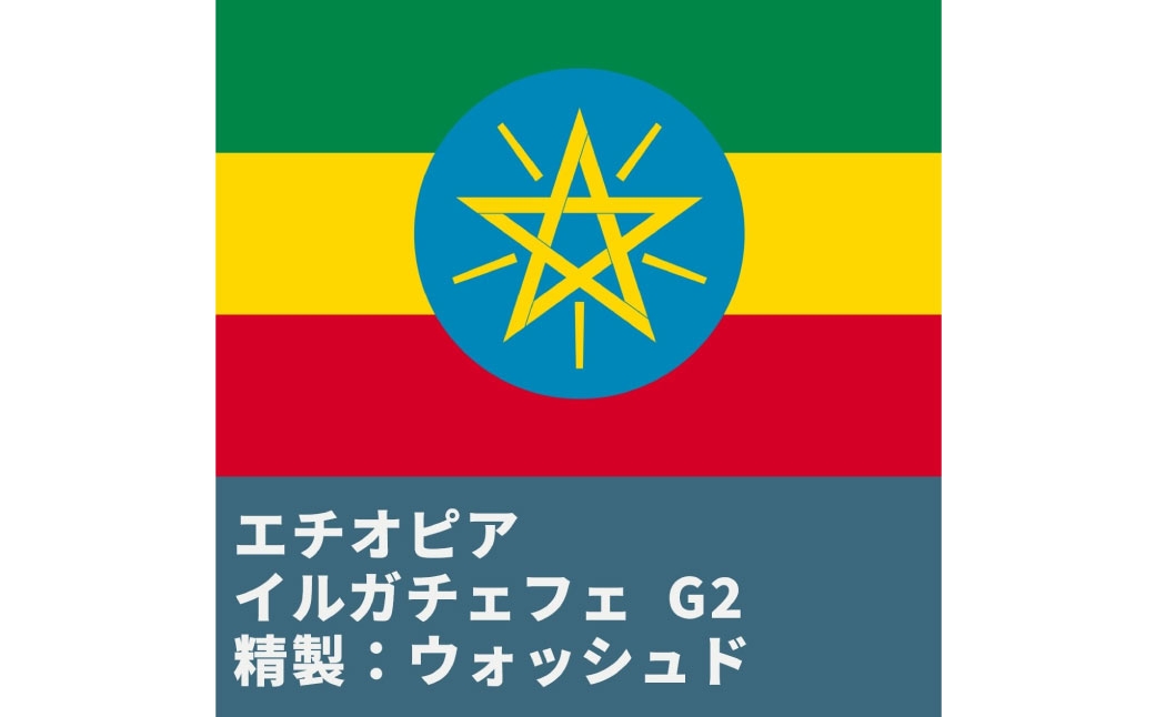 コーヒー焙煎豆エチオピアイルガチェフェ