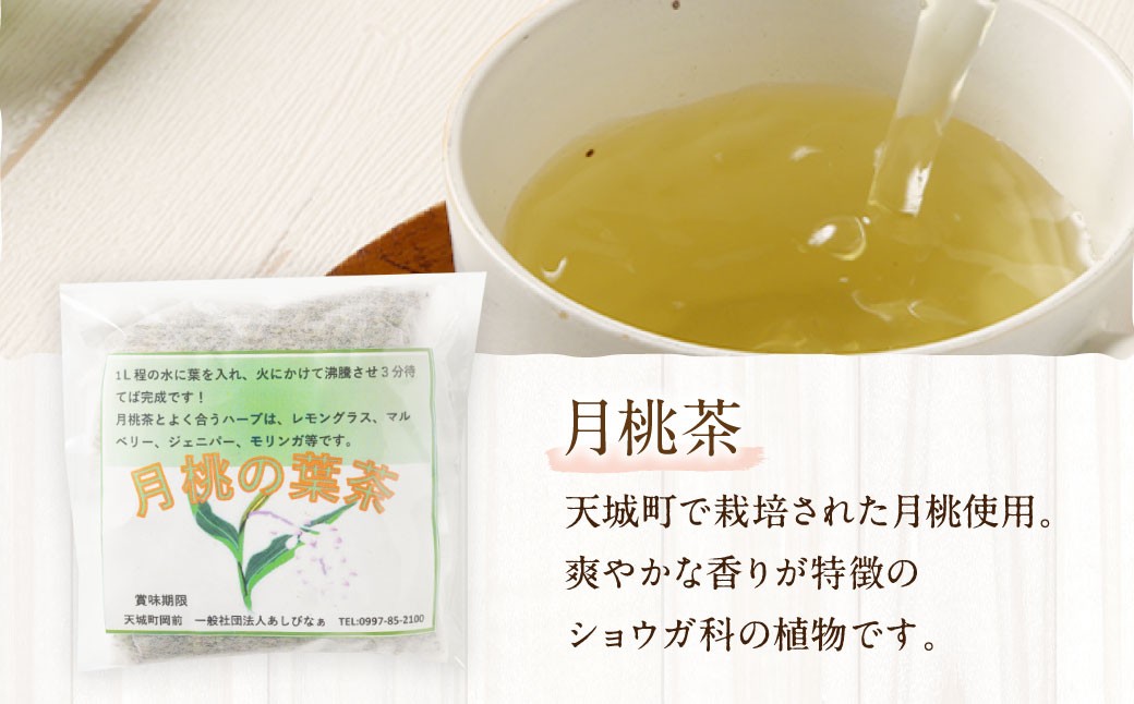 天城町産 月桃茶 計9パック （ 3パック × 3袋 ）