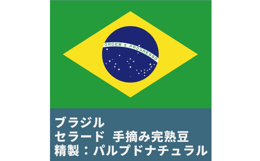 コーヒー焙煎豆ブラジルセラード（豆のまま）