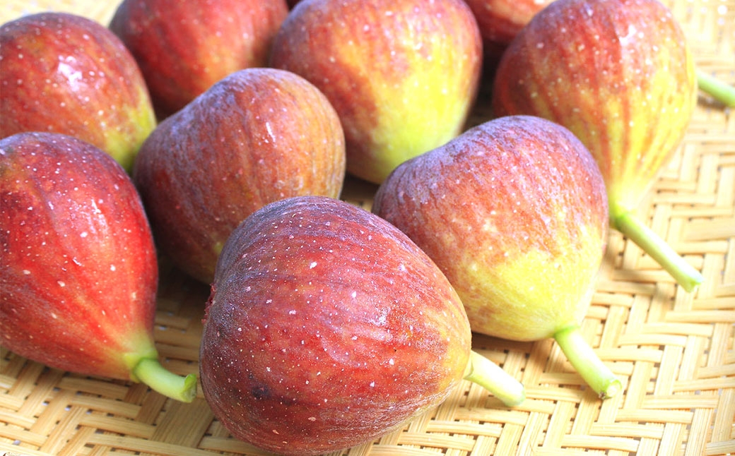 皮ごと食べれる！とよみつひめ