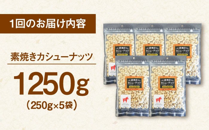 素焼き カシューナッツ 無塩 チャック付き 小袋