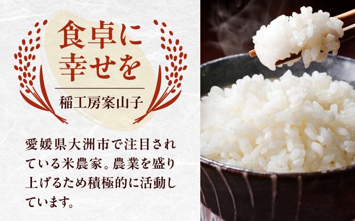 お米 ヒノヒカリ 5kg（5kg×1袋）米・食味鑑定士×お米ソムリエ×白米ソムリエ
