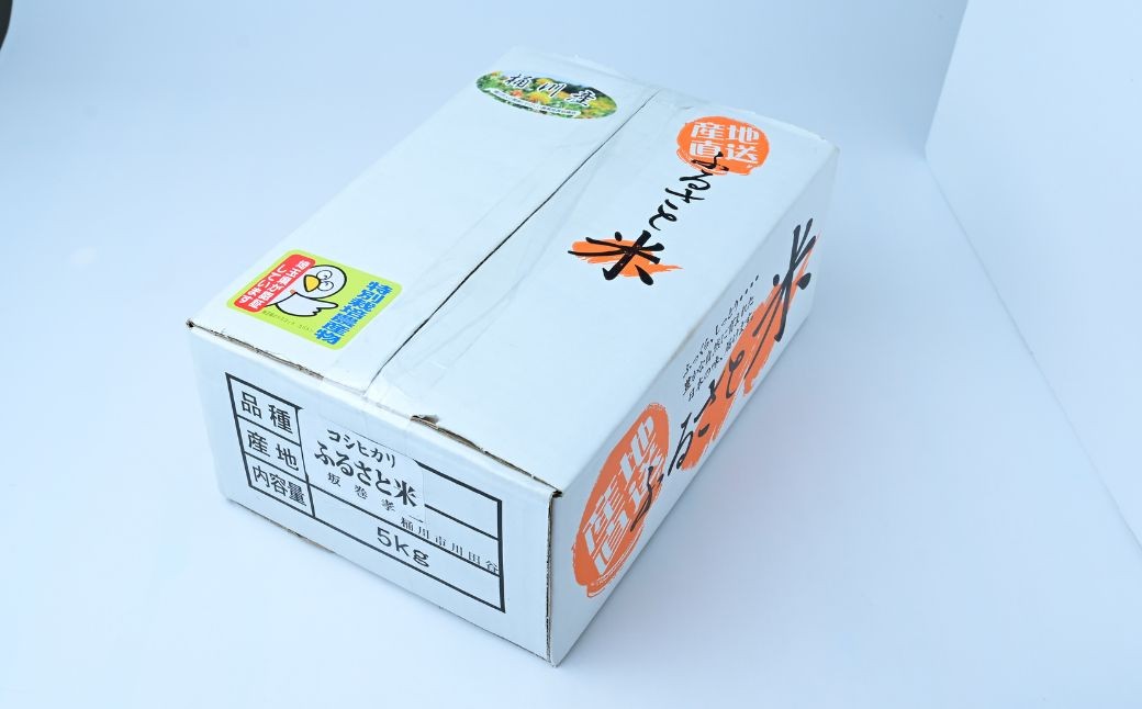 こしひかり コシヒカリ 米 お米 白米 特別栽培米