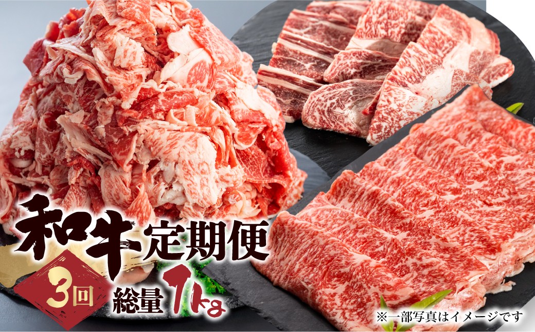 和牛定期便 3回 総重量1.2kg
