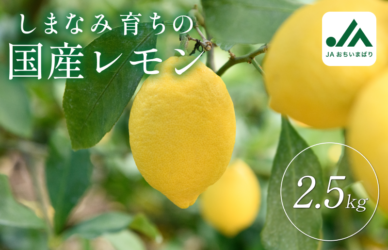 今治・しまなみ地域の温暖少雨な気候で匠農家が丹精込めて育てたレモンです。