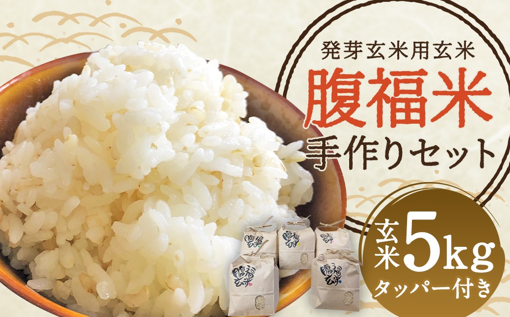 発芽玄米用 玄米 腹福米手作りセット 5kg タッパー ヒノヒカリ