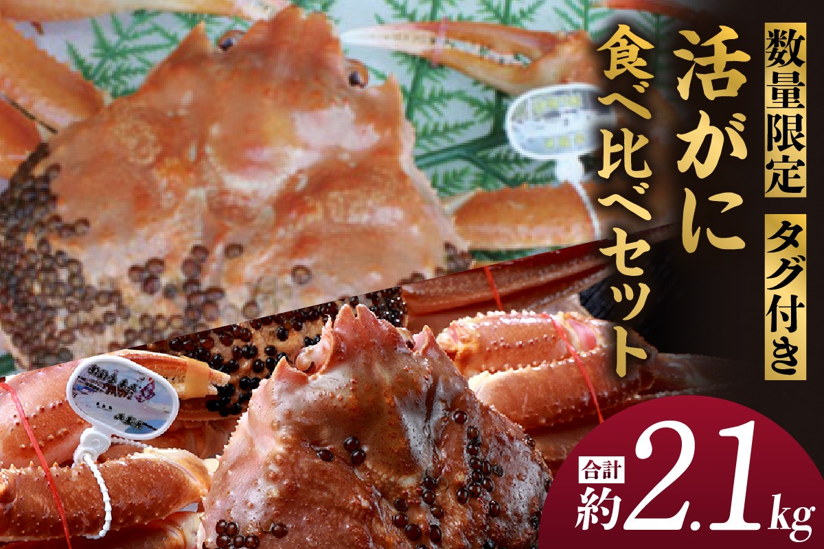 幻のカニ：タグ付き黄金ガニ
冬の味覚の女王：タグ付き松葉がに
この貴重な活ガニの食べ比べを香住からお届けいたします！