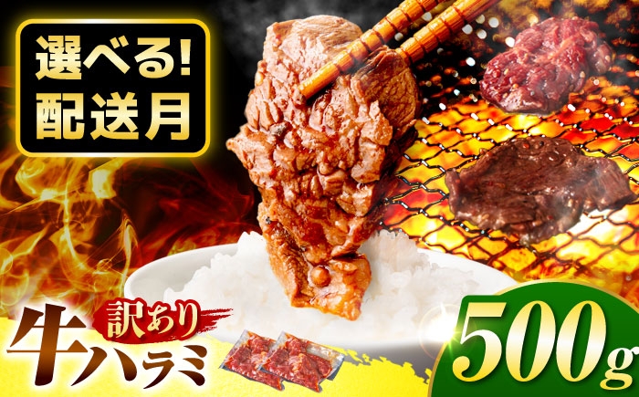 焼肉 BBQ バーベキュー キャンプ アウトドア 牛肉 肉 500g 小分け 250g 2パック 冷凍 おすすめ
