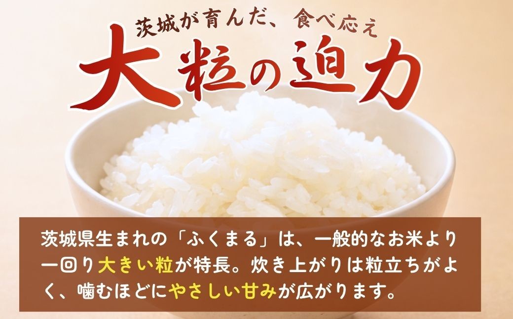 こしひかり コシヒカリ ごはん ご飯 ライス ふくまる フクマル お米 米 こめ コメ 白米 精米