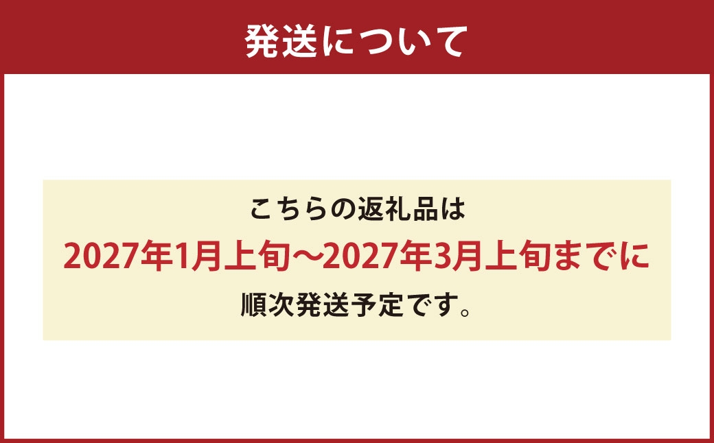 いちご 「 さちのか 」 約500g（500g×1箱）