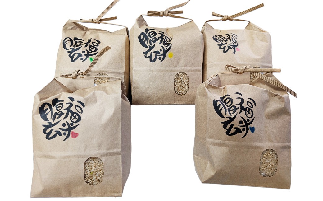 発芽玄米用 玄米 腹福米手作りセット 5kg タッパー ヒノヒカリ