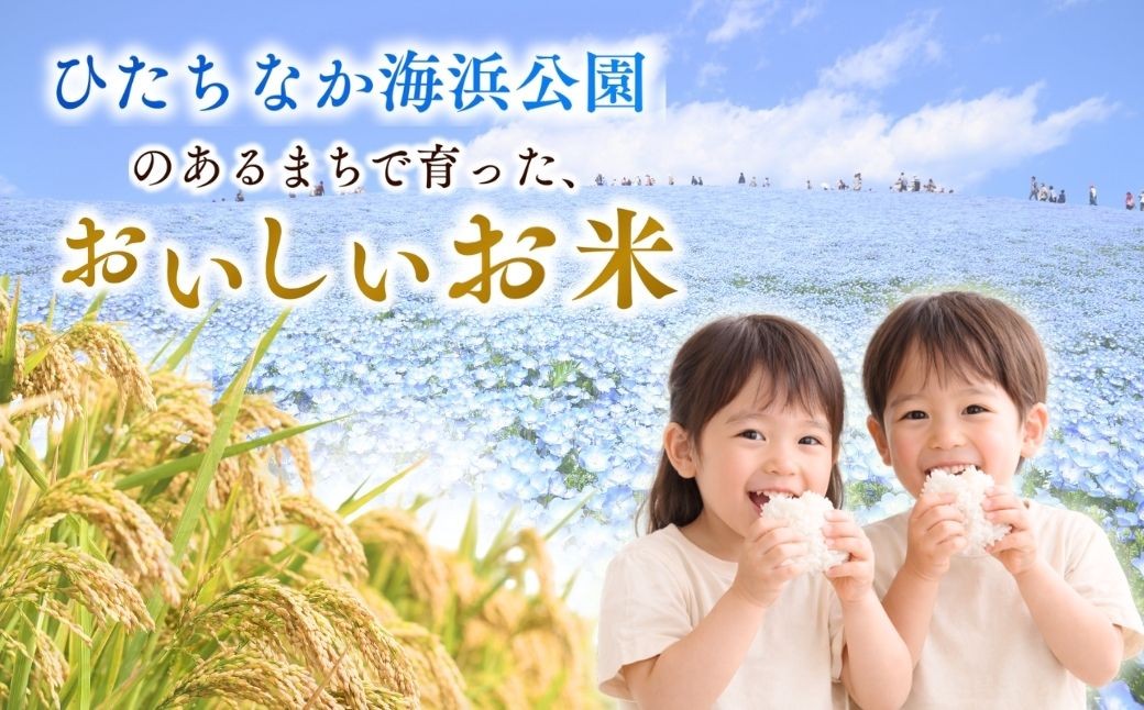 こしひかり コシヒカリ ごはん ご飯 ライス ふくまる フクマル お米 米 こめ コメ 白米 精米