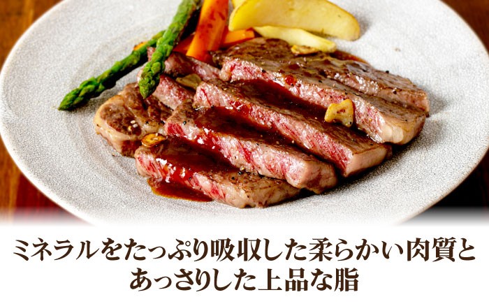 サーロイン ステーキ サーロインステーキ 肉 焼肉 和牛 赤身