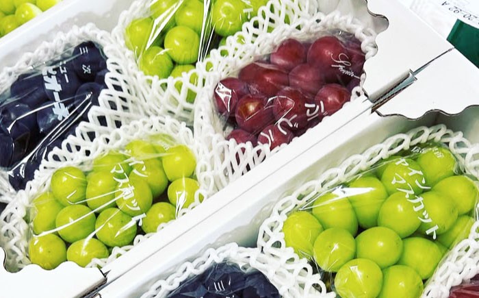 ぶどう BKシードレス 広島県 三次市