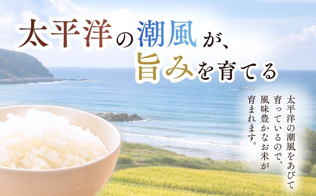 お米 米 こめ コメ 白米 精米 にじのきらめき ニジノキラメキ