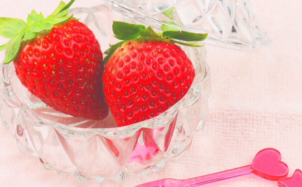 いちご 「 さちのか 」 約500g（500g×1箱）