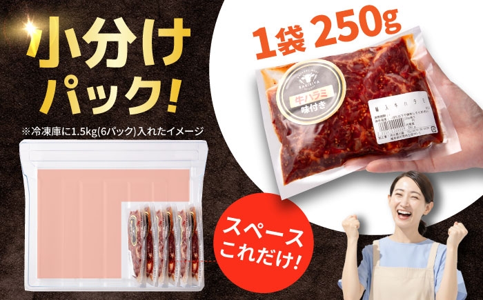 焼肉 BBQ バーベキュー キャンプ アウトドア 牛肉 肉 500g 小分け 250g 2パック 冷凍 おすすめ