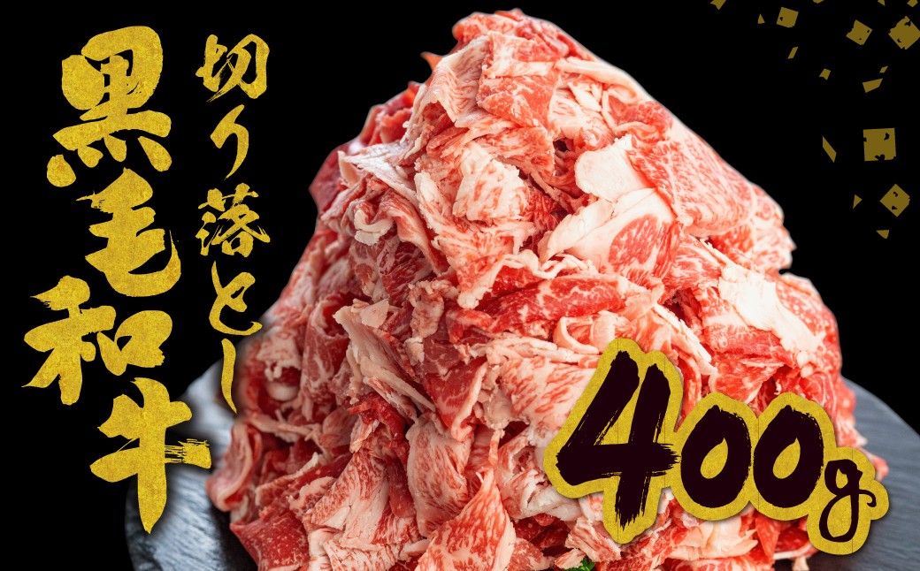 定期便3回目：飛米牛 切落し 600g